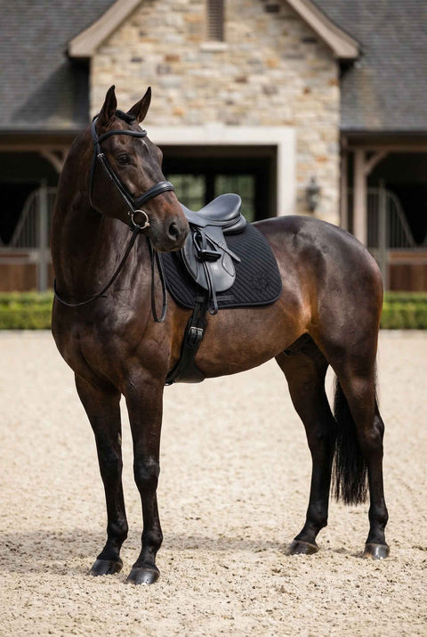 Dressurschabracke Albinea schwarz