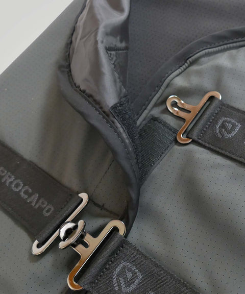 Fliegendecke Albinea forest night