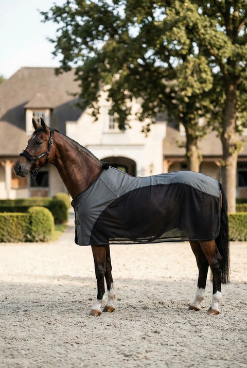 Fliegendecke Albinea forest night