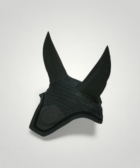 Fliegenhaube Albinea forest night