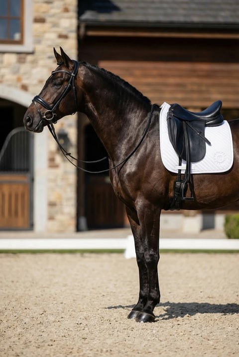 Dressurschabracke Albinea weiß