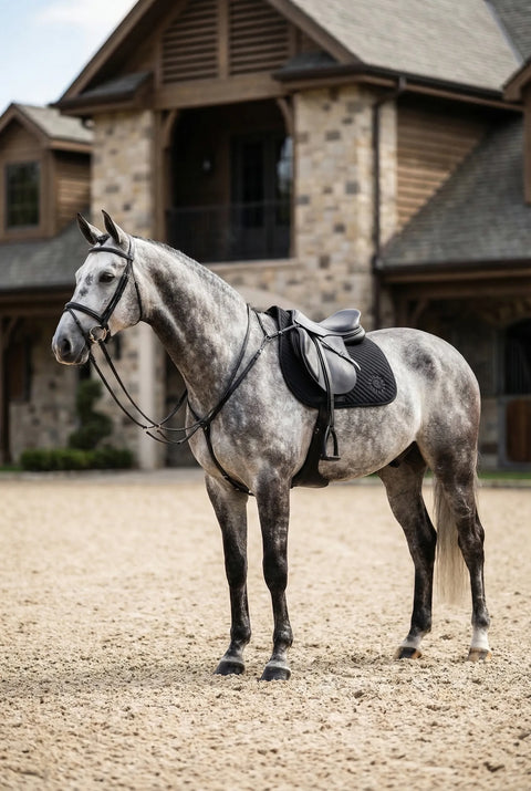 Springschabracke Albinea schwarz