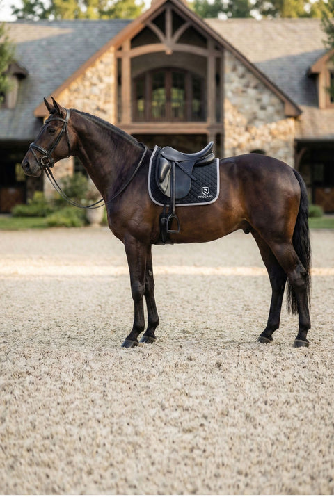 Dressurschabracke Ambassador schwarz