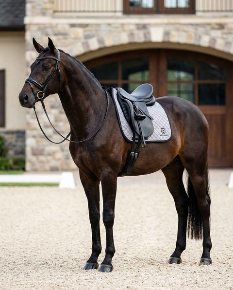 Dressurschabracke Ambassador moon rock