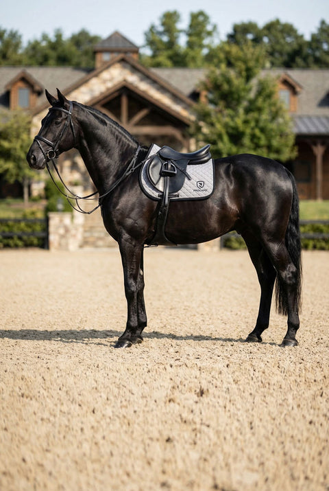 Springschabracke Ambassador moon rock