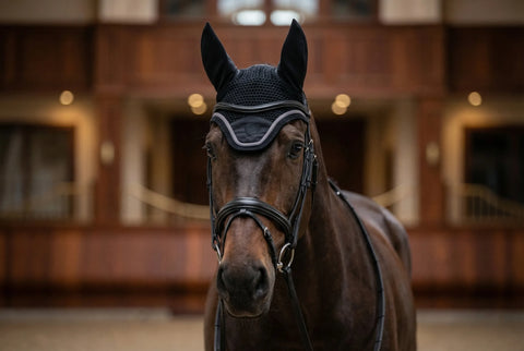 Fliegenhaube Ambassador schwarz
