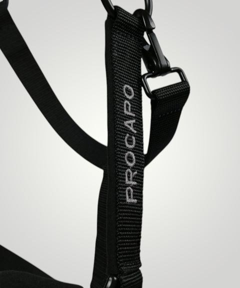 Halfter Ambassador schwarz