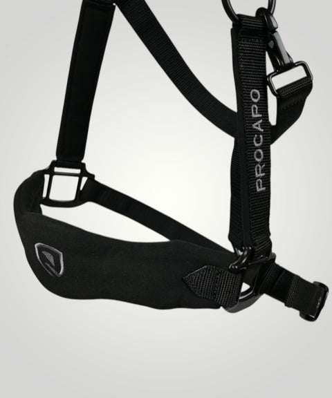 Halfter Ambassador schwarz