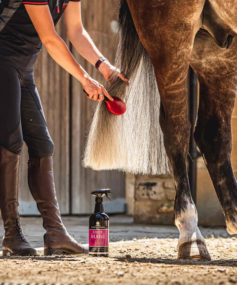 Carr & Day & Martin CANTER MANE & TAIL CONDITIONER 1 L