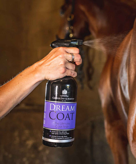 Carr & Day & Martin Spray brillance DREAMCOAT 500ml
