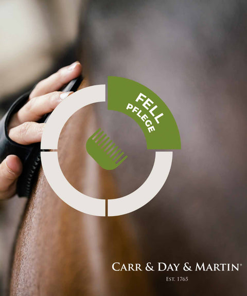 Carr & Day & Martin Shampoo GALLOP COLOUR - Chestnut and Palomino