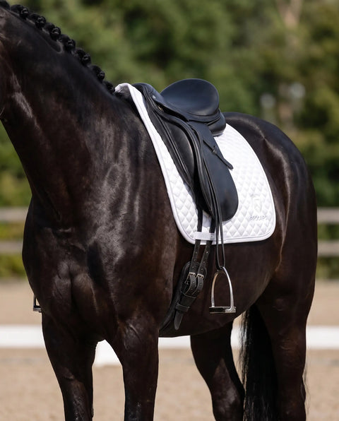 Dressurschabracke Ambassador weiß