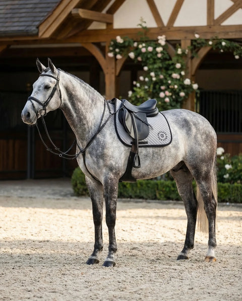 Springschabracke Albinea steeple gray